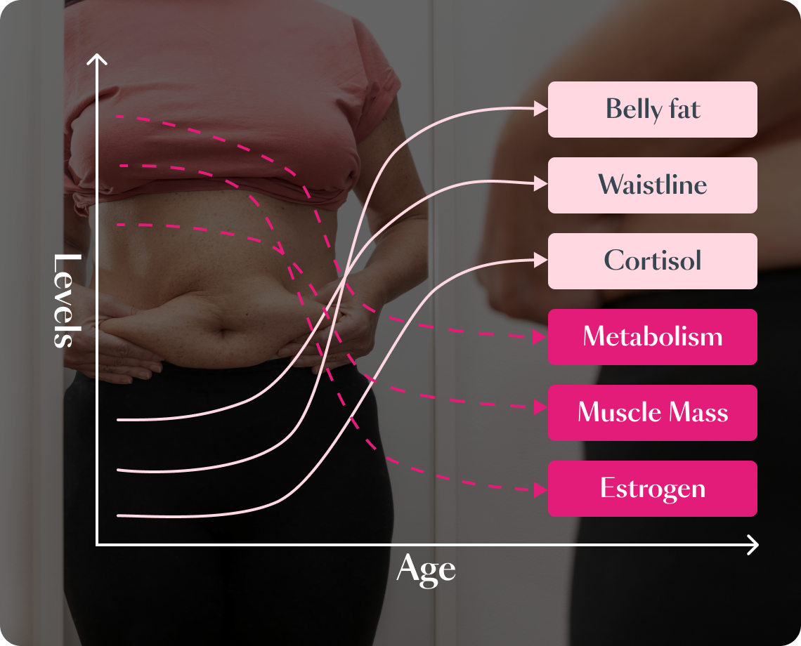 Causes of Belly Fat In Women Over 40