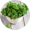 Kale Leaf