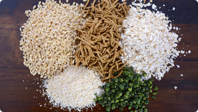 Probiotics fibers