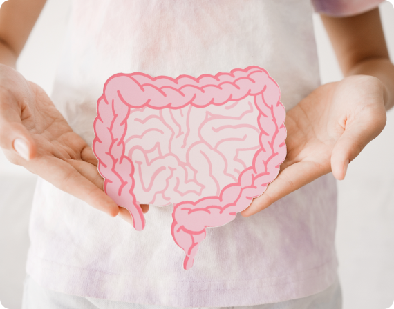Probiotics survive the harsh stomach acid